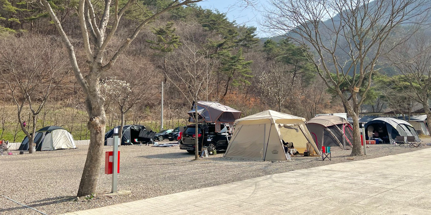 이미지명