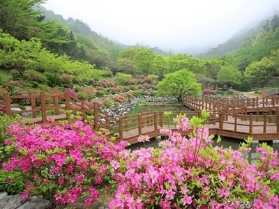 대아수목원