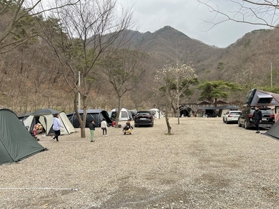 숲속사이트 전경