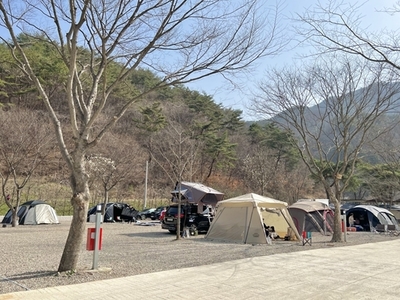 숲속사이트 전경
