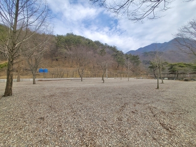 파쇄석사이트